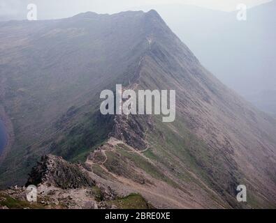 Summer climbers on Striding Edge arete on Helvellyn, Lake District, England Stock Photo