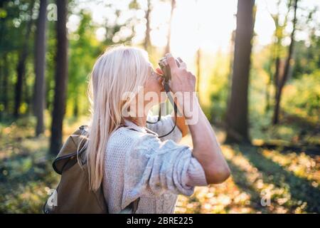 Senior woman outdoors in forest, taking photos with camera. Stock Photo