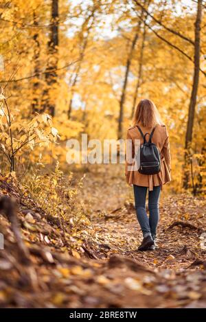 Woman in autumn park, back view. Adult girl walking away alone on path in autumn forest. Lonely young woman with backpack in autumn jacket. Beautiful Stock Photo