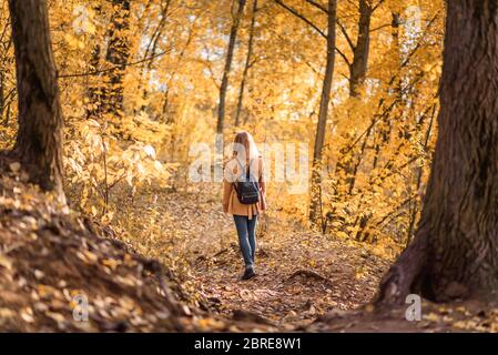 Woman in autumn park, back view. Adult girl walking away alone on path in autumn forest. Lonely young woman with backpack in autumn jacket. Beautiful Stock Photo