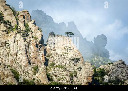Mountain landscape of Crimea, Russia. Scenic view of misty mountain ranges of the Valley of Ghost. Scenery of rocks with lone pine tree on top in summ Stock Photo