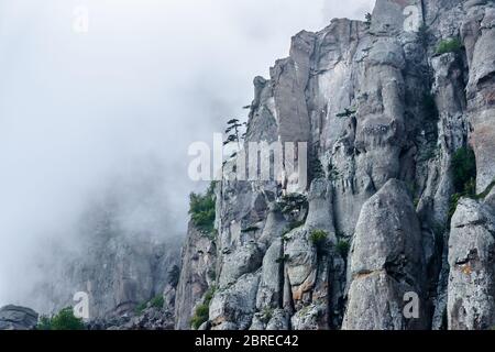 Demerdji mountain with low lying clouds, Crimea, Russia. Valley of Ghosts in fog. This place is a natural landmark of Crimea. Dramatic view of fancy m Stock Photo