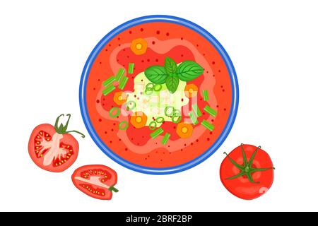 Tomato soup isolated on white. Hot soup with basil, green onion and croutons in plate and tomato slices near. Cream soup or gazpacho top view. Vector Stock Vector