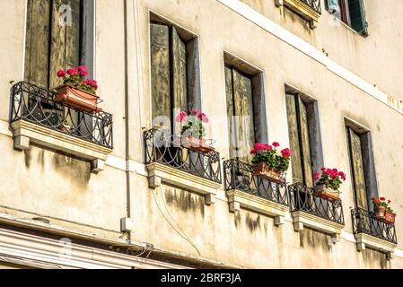 Old house with flowers, Venice, Italy. Windows of residential building or hotel with vintage shutters. Antique wall and wooden shutters close-up. Stock Photo