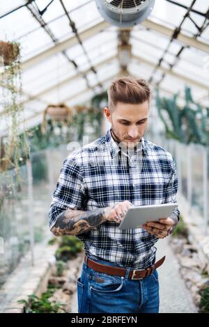 Man researcher standing in greenhouse, using tablet. Stock Photo