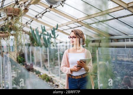 Woman researcher standing in greenhouse, using tablet. Stock Photo