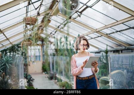 Woman researcher standing in greenhouse, using tablet. Stock Photo