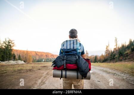 Rear view of man with backpack going hiking, using smartphone. Stock Photo