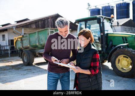 Man and woman workers working on diary farm, agriculture industry. Stock Photo