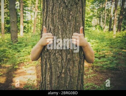 A tree with arms giving a thumbs up gesture to the camera with copy space. Stock Photo