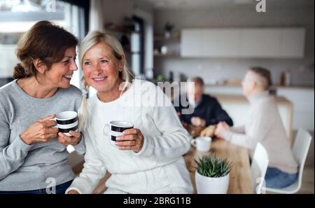 Portrait of senior women friends with coffee at home, talking. Stock Photo