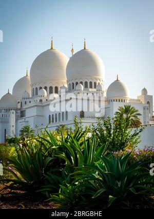 sheikh zayed grand mosque in abu dhabi intended by late president of UAE sheikh zayed bin sultan al nahyen