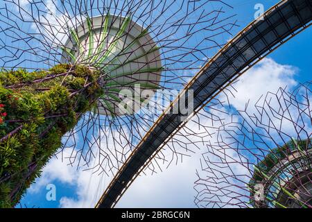 Supertree Grove is a large botanical garden in marina bay and is one of the most important attractions to visit Singapore and flower dome with blue sk Stock Photo