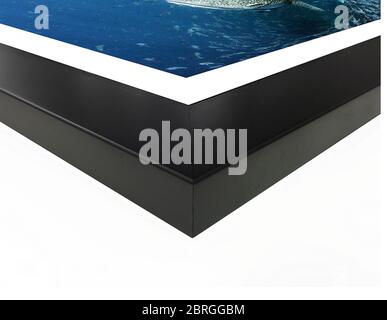 The corner and edge of a high quality wood photo frame complete with mount on a white background. Black picture frames are the most popular choice for Stock Photo