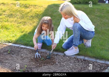Mother and daughter plant a plant in the ground. y