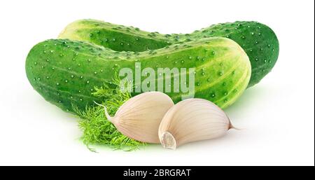 Isolated pickled cucumbers. Two whole gherkins, cloves of garlic and dill leaf isolated on white background Stock Photo