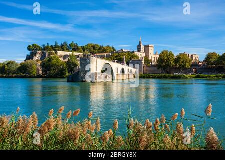 Pont Saint Benezet bridge, Palace of the Popes or Palais des Papes and Avignon Cathedral aerial panoramic view in Avignon city in France Stock Photo