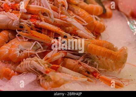 Langoustines (Norway lobsters) and prawns neatly arranged on a market stall in Saint-Palais-sur-Mer, Charente-Maritime, on the French Atlantic coast.