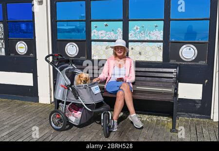 Worthing UK 21st May 2020 - A young dachshund and her owner enjoy the hot sunshine on Worthing Pier which is open again to the public during lockdown through the Coronavirus COVID-19 pandemic crisis . It has been another hot day throughout Britain with temperatures reaching the high 20's again in some parts . Credit: Simon Dack / Alamy Live News Stock Photo