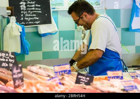 Saint-Palais-sur-Mer, Charente-Maritime / France: A fishmonger guts fish at the local market of this popular town on the French Atlantic coast. Stock Photo