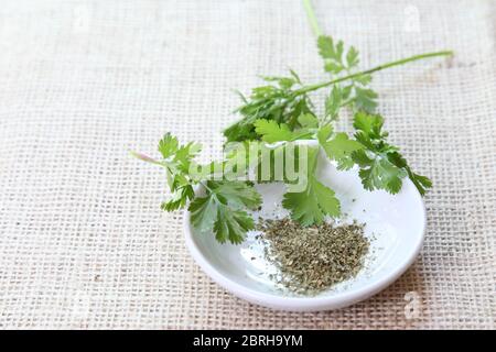 Parsley Herb, fresh Parsley leaf sprigs and dried Parsley in a bowl Stock Photo