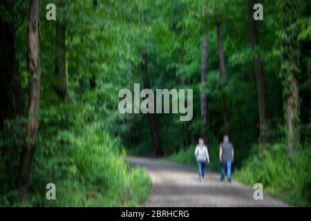 A  blurry photo of two people walking on the forest path Stock Photo