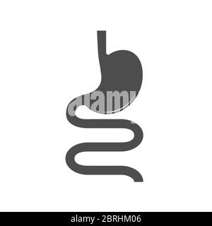 Stomach. Vector design. Stock illustration isolated on a white background. Stock Vector
