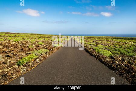 Stretch of straight asphalt road heading towards the ocean on Lanzarote island. Beautiful volcanic landscape of Lanzarote, Canary Islands, Spain. Stock Photo