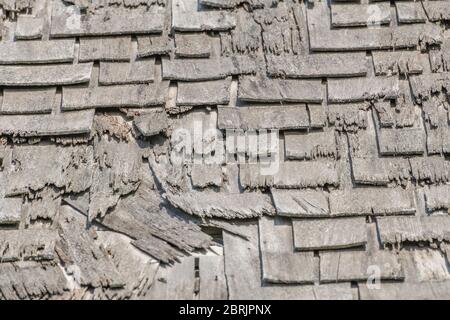 Badly decaying and rotting wooden shingle roof /shingle roof tiles ...