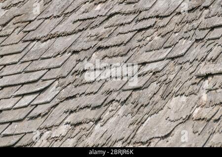 Badly decaying and rotting wooden shingle roof /shingle roof tiles ...