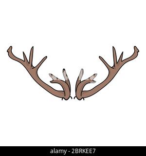 Deer antler vector clipart. Forest woodland skull flat color illustration. Hand drawn forest animal horn doodle style. For woodland graphic, rustic Stock Vector