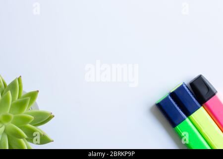 Colored highlighters set and home plant succulent in soft focus on white background. Back to school, office, business, home office Stock Photo