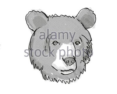 Asiatic black bear on a white background Stock Photo - Alamy