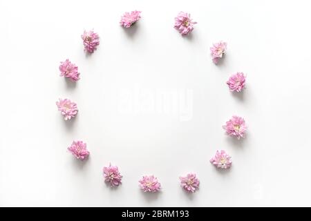 Round frame with pink flowers bud isolated on white background. Flat lay, top view Stock Photo