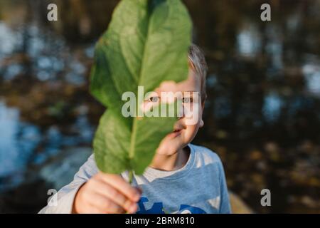 Portrait of young boy holding green leaf. Cute child holding green leaf in front of face and looking at camera.