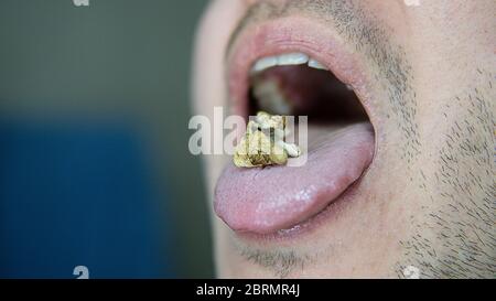 Strains of psilocybin mushrooms close-up Stock Photo