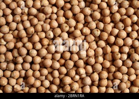 Dry organic chickpeas. Food background. Macro. Closeup Stock Photo