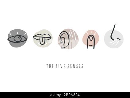 Hand drawn simple icons representing the five senses. Hand drawn doodles. Stock Vector