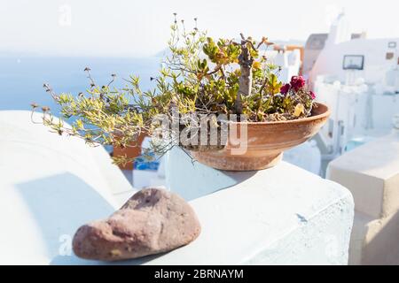 Broken flower pot on the walls of Greek village with blue seascape, Oia, Santorini, Greece Stock Photo