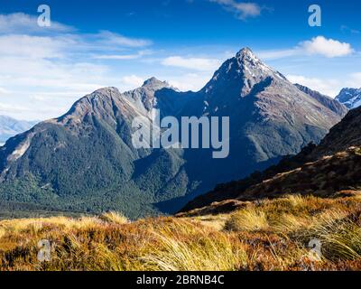 Upper Peak, Humboldt Mountains from Sugarloaf Pass (1154m) Mount Aspiring National Park, Otago, South Island, New Zealand
