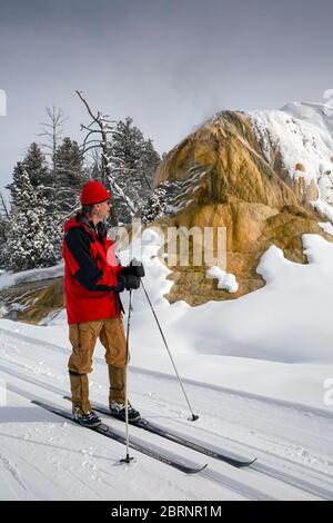 WY04601-00....WYOMING - Winter visitor on the Upper Terrace groomed cross-country ski trail at Mammoth Hot Spring in Yellowstone National Park. Stock Photo