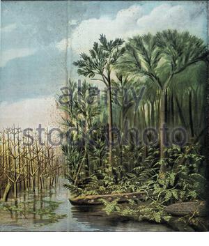 Carboniferous landscape drawing. The Carboniferous period extended ...