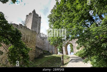 15 May 2020, Saxony-Anhalt, Bad Kösen: View of the Rudelsburg. The castle ruins and the neighbouring Saaleck Castle, picturesquely situated above the river Saale, are popular excursion destinations in Saxony-Anhalt. Photo: Jan Woitas/dpa-Zentralbild/ZB Stock Photo