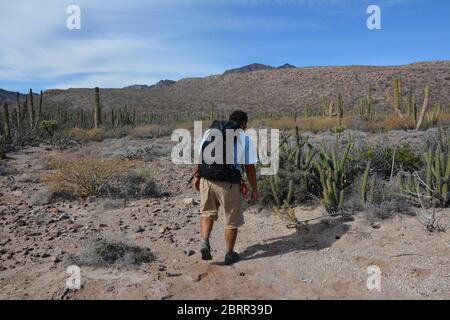 A tour guide leads a group of active cruise tourists on a remote stretch of coast near Loreto, Baja California Sur, Mexico. Stock Photo