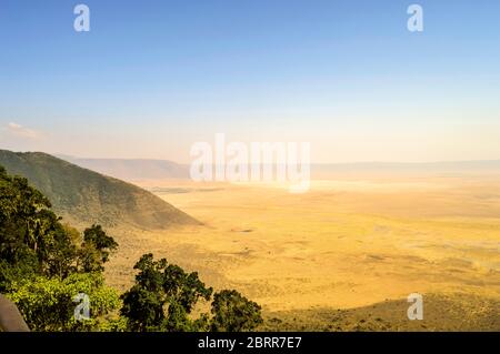 Elevated view of the ground of the Ngorongoro crater from the southern edge of the crater. Looking towards the forest of Lerai and the alkaline crater Stock Photo