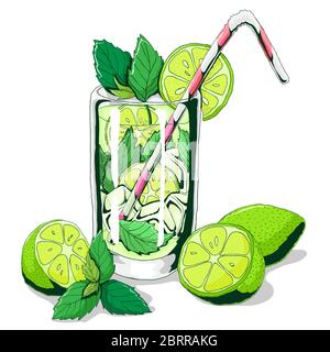 Mojito. Vector hand drawn illustration of beach cocktail. Cocktail with lime and mint. Vector illustration of fresh and salty drink: alcoholic cocktai Stock Vector