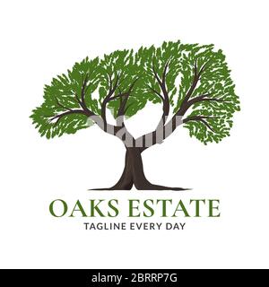 Tree oaks logo design - vector Stock Vector