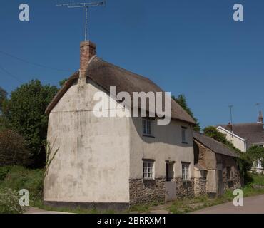 Traditional Devonian Cob and Lime Thatched Roof Cottage in a Village in Rural Devon, England, UK Stock Photo