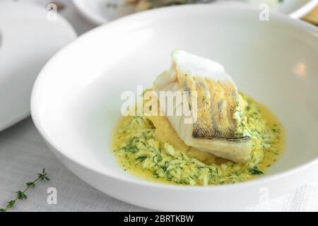 Tasty fish pike perch close up on white plate Stock Photo