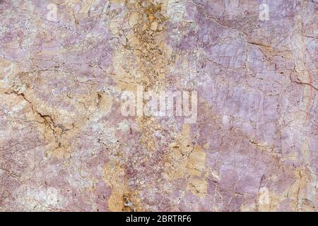 Natural stone surface of purple-yellow colorful ammonite slab of Verona, high resolution Stock Photo